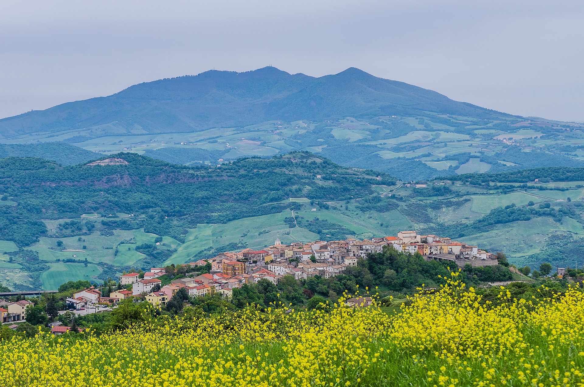 Rapone